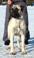 Ronja 230208